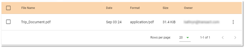 EZAT Invoice Attachment Info.png